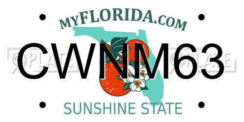 CWNM63 Florida License Plate