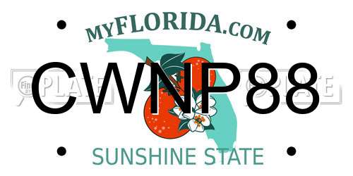 CWNP88 Florida License Plate