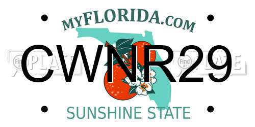 CWNR29 Florida License Plate