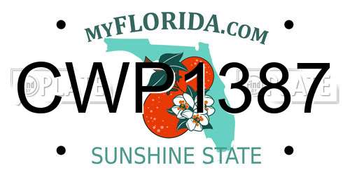 CWP1387 Florida License Plate