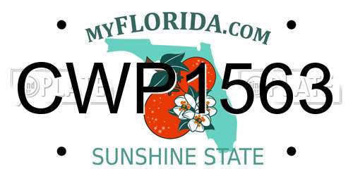 CWP1563 Florida License Plate