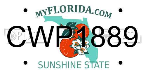 CWP1889 Florida License Plate