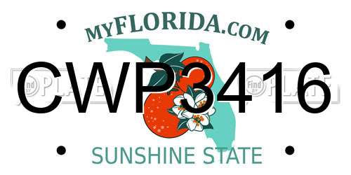 CWP3416 Florida License Plate