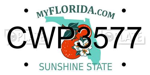 CWP3577 Florida License Plate