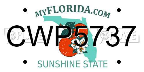 CWP5737 Florida License Plate
