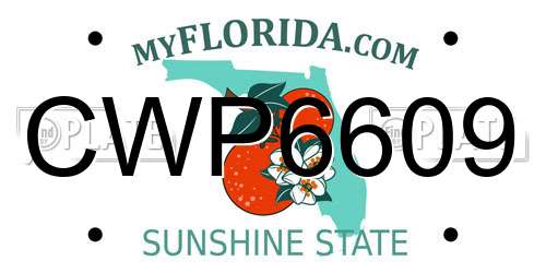 CWP6609 Florida License Plate
