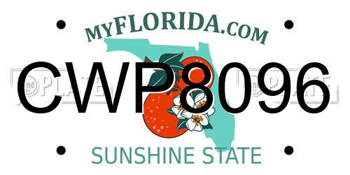 CWP8096 Florida License Plate