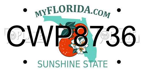 CWP8736 Florida License Plate