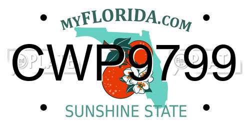 CWP9799 Florida License Plate