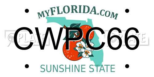 CWPC66 Florida License Plate