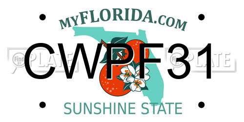 CWPF31 Florida License Plate