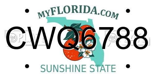 CWQ6788 Florida License Plate