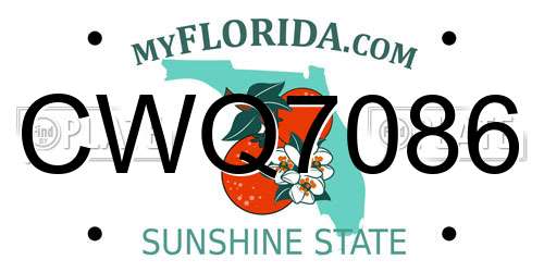 CWQ7086 Florida License Plate