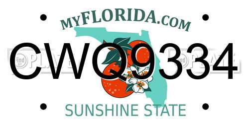 CWQ9334 Florida License Plate