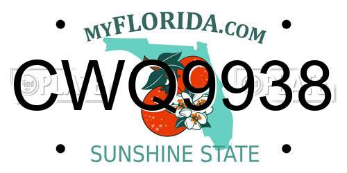 CWQ9938 Florida License Plate