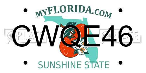 CWQE46 Florida License Plate