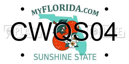 CWQS04 Florida License Plate