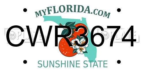CWR3674 Florida License Plate