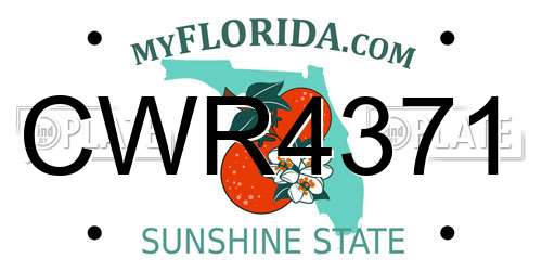 CWR4371 Florida License Plate