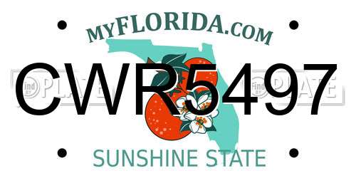 CWR5497 Florida License Plate