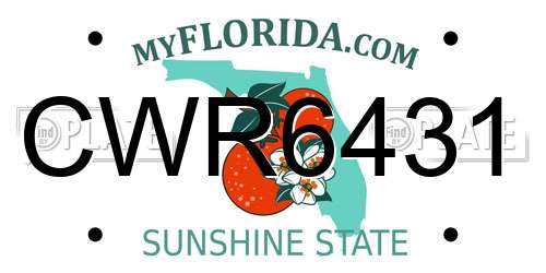 CWR6431 Florida License Plate