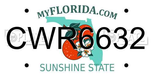 CWR6632 Florida License Plate