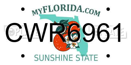 CWR6961 Florida License Plate