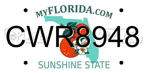 CWR8948 Florida License Plate