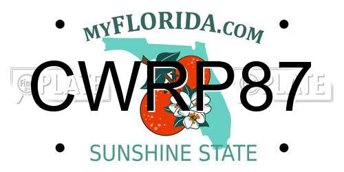 CWRP87 Florida License Plate