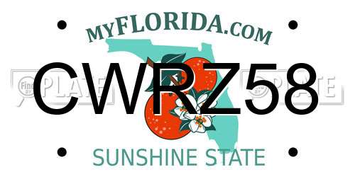 CWRZ58 Florida License Plate