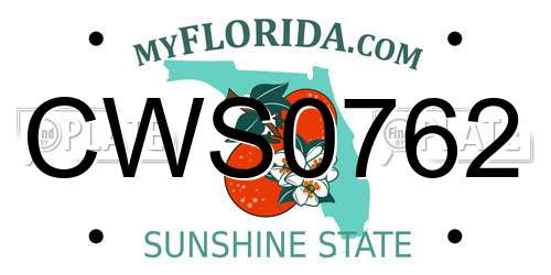 CWS0762 Florida License Plate