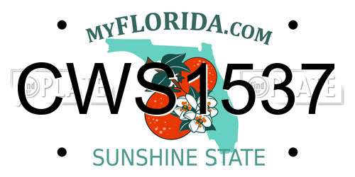 CWS1537 Florida License Plate