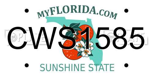 CWS1585 Florida License Plate
