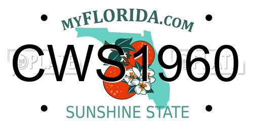CWS1960 Florida License Plate