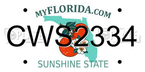 CWS2334 Florida License Plate