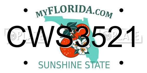 CWS3521 Florida License Plate