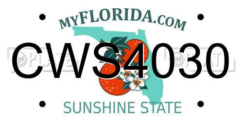CWS4030 Florida License Plate