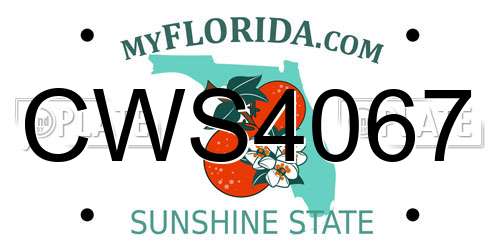 CWS4067 Florida License Plate