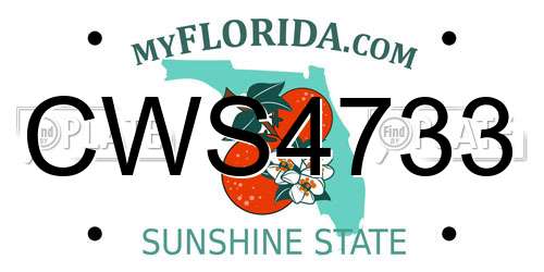 CWS4733 Florida License Plate