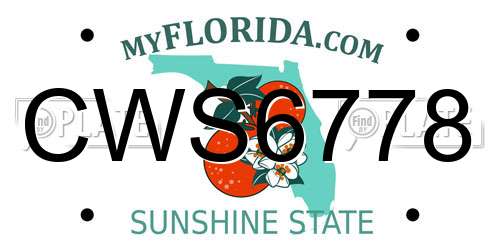 CWS6778 Florida License Plate