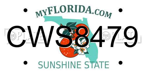 CWS8479 Florida License Plate