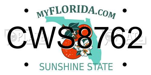 CWS8762 Florida License Plate