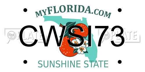 CWSI73 Florida License Plate