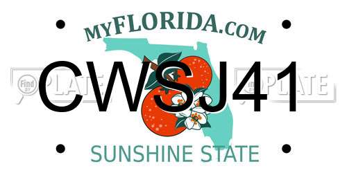 CWSJ41 Florida License Plate