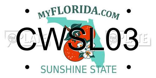 CWSL03 Florida License Plate