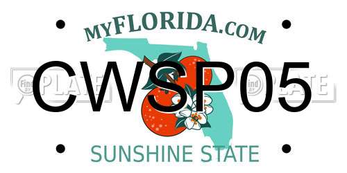 CWSP05 Florida License Plate