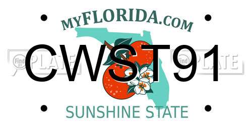 CWST91 Florida License Plate