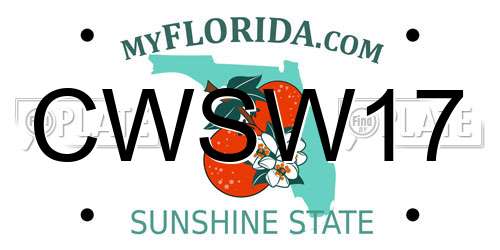 CWSW17 Florida License Plate