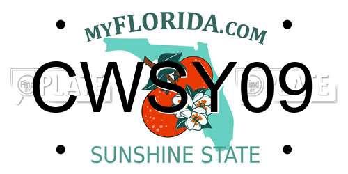 CWSY09 Florida License Plate