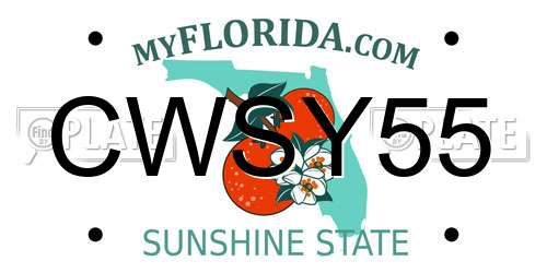 CWSY55 Florida License Plate